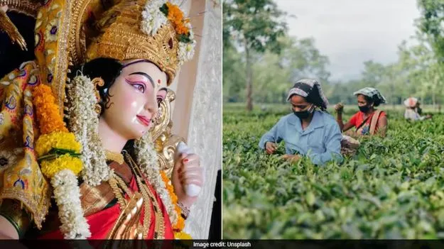 టీ కార్మికులకు గుడ్‌న్యూస్..  20 శాతం బోనస్.. 
