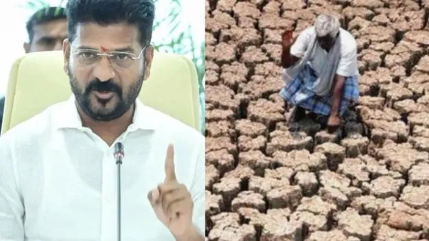 తెలంగాణలో కరువు తీవ్రత.. 365 మండలాలు కరువు ప్రాంతాలుగా ప్రకటన!