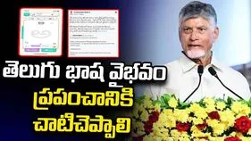 తెలుగు నేర్పించే ‘Coolphabets’ యాప్ విడుదల.. సీఎం అభినందనలు