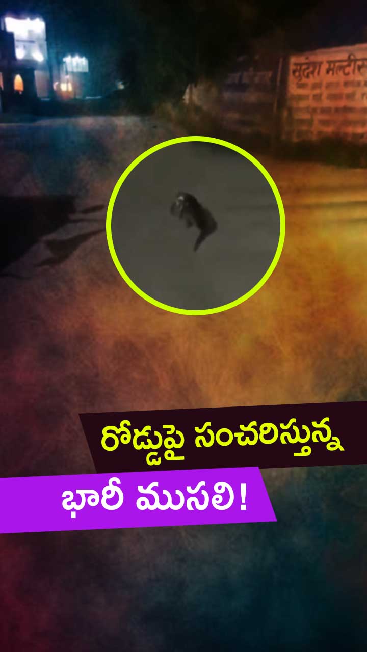 ఉత్తరాఖండ్: హరిద్వార్లో భయానక దృశ్యం! – general ఉత్తరాఖండ్: హరిద్వార్లో భయానక దృశ్యం! – general