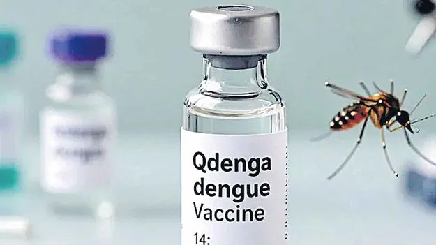 హైదరాబాద్‌లోనే డెంగ్యూ వ్యాక్సిన్‌ తయారీ