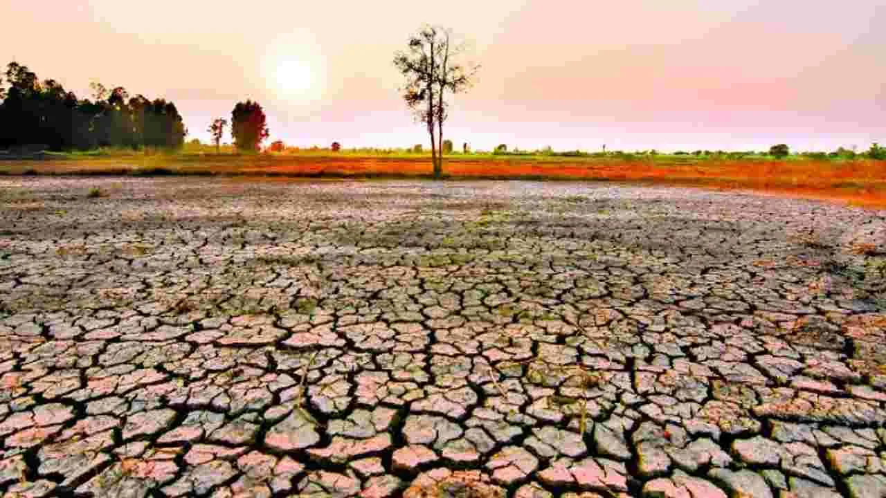 ఏపీలో 2.44 లక్షల హెక్టార్ల పంటలపై ఎల్‌నినో ప్రభావం
