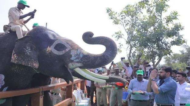 రాయలసీమకు మహర్దశ!