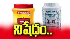 ఎవరెస్ట్‌, ఎల్‌జీ ఇంగువపై నిషేధం
