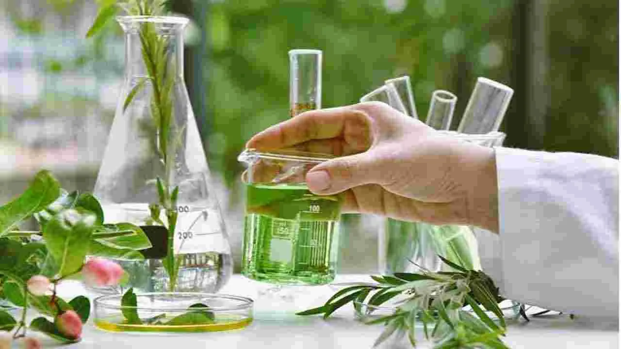 హెర్బల్‌ కాస్మెటిక్స్‌ హబ్‌గా ఏపీ
