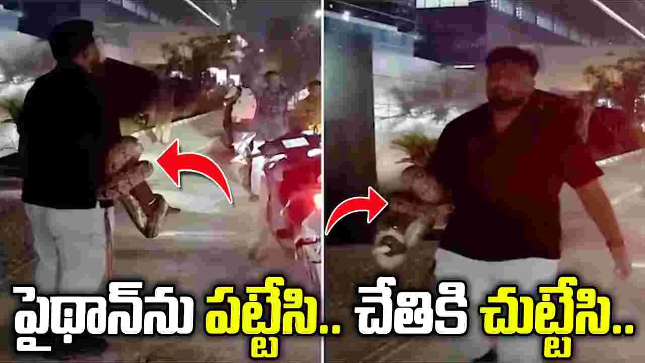 పైథాన్‌ను ఇట్టే పట్టేసి.. చేతికి చుట్టేసిన ఐటీ ఉద్యోగి.!