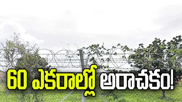 60 ఎకరాల్లో అరాచకం!