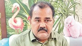 తవ్విన కొద్దీ కాసుల పంట