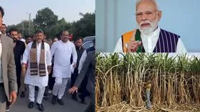 చెరకు రైతుల ఆందోళనలు.. ప్రధాని మోదీకి కర్ణాటక సీఎం డీకే శివకుమార్ లేఖ