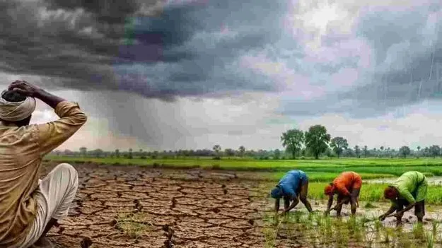 ఖరీఫ్‌ పంటలు గట్టెక్కేనా?