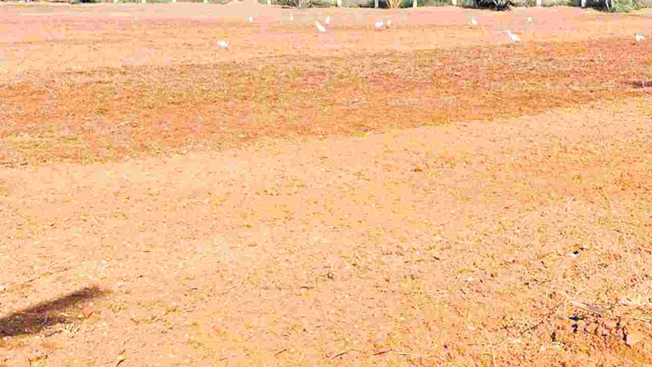 ఫ్రీహోల్డ్‌కు లైన్‌క్లియర్‌!