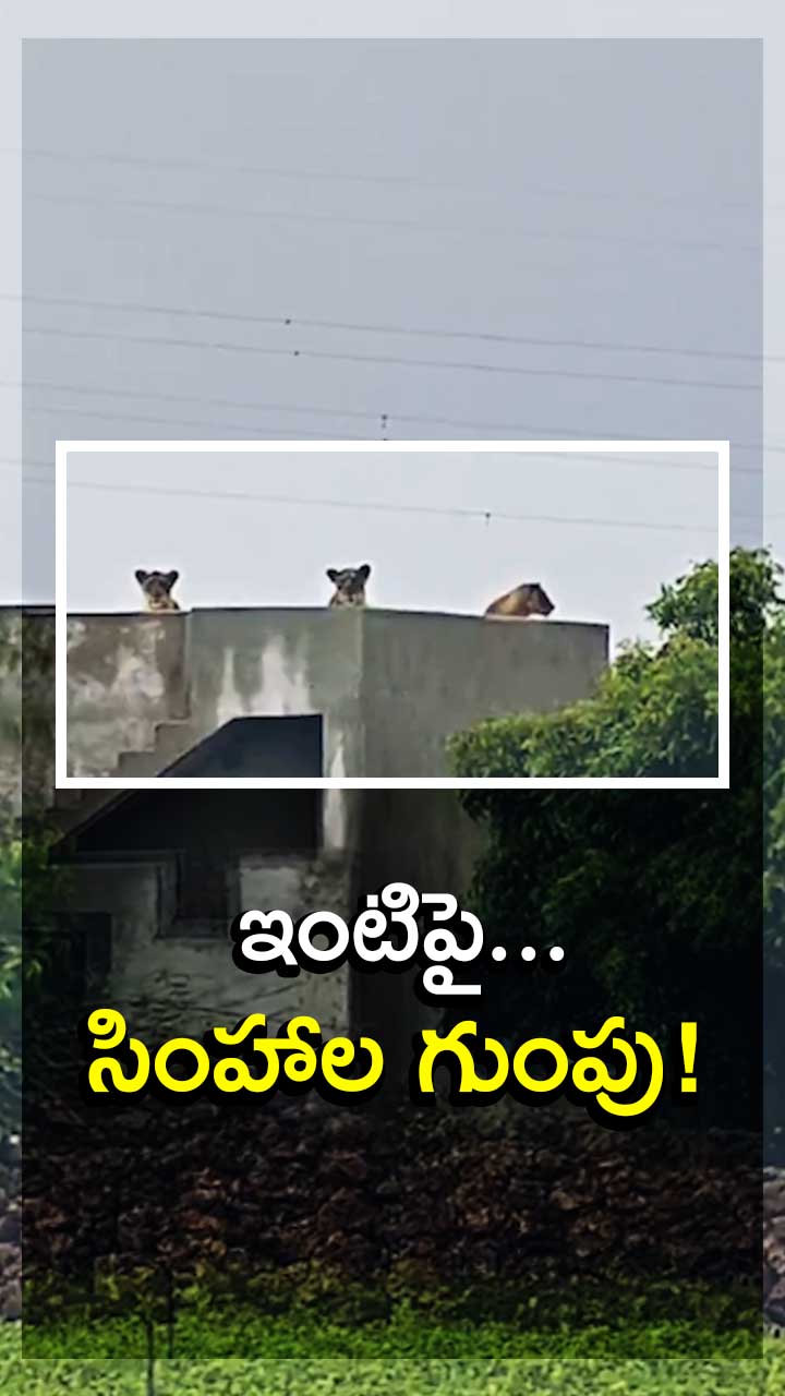 గుజరాత్‌లో భయానక దృశ్యం!