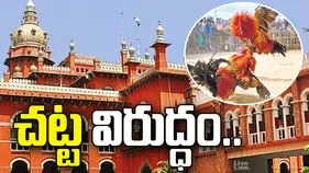 కోడిపందేలపై మద్రాస్ హైకోర్టు సంచలన తీర్పు