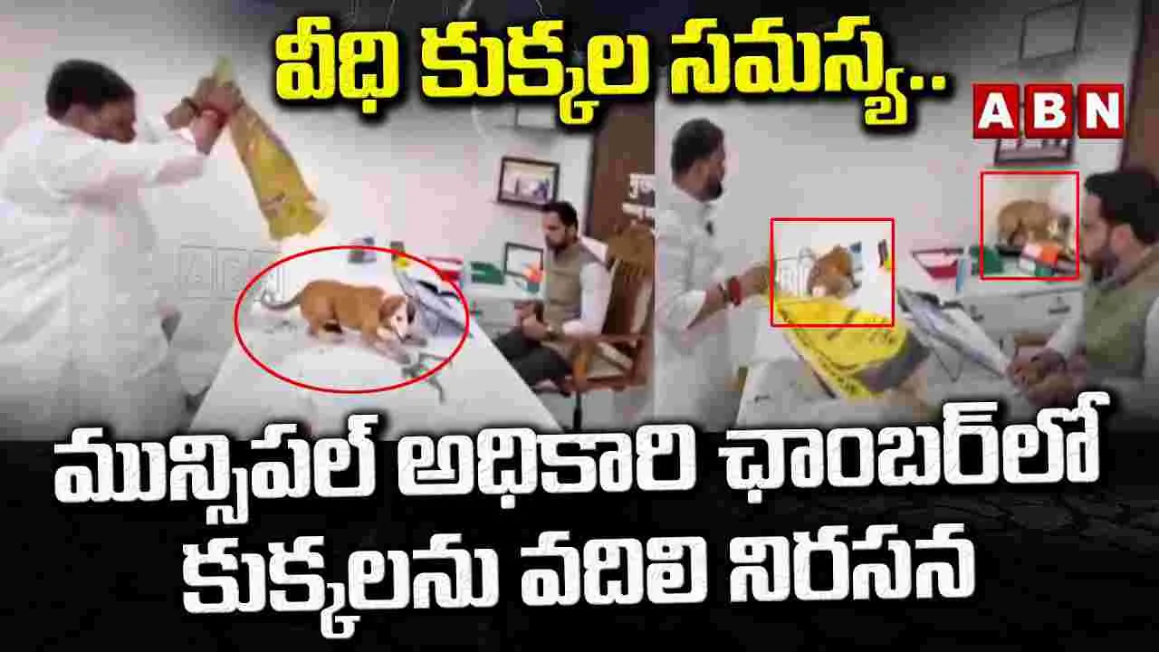 వీధి కుక్కల సమస్య.. మున్సిపల్ అధికారి ఛాంబర్లో కుక్కలను వదిలి.. – general వీధి కుక్కల సమస్య.. మున్సిపల్ అధికారి ఛాంబర్లో కుక్కలను వదిలి.. – general
