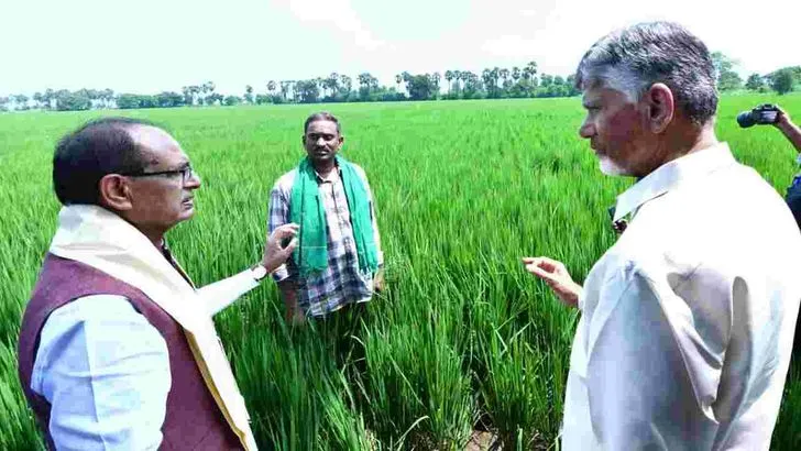 ఏపీలో 3 లక్షల ఇళ్ల నిర్మాణానికి శ్రీకారం.. పాల్గొన్న శివరాజ్ సింగ్ చౌహాన్, చంద్రబాబు