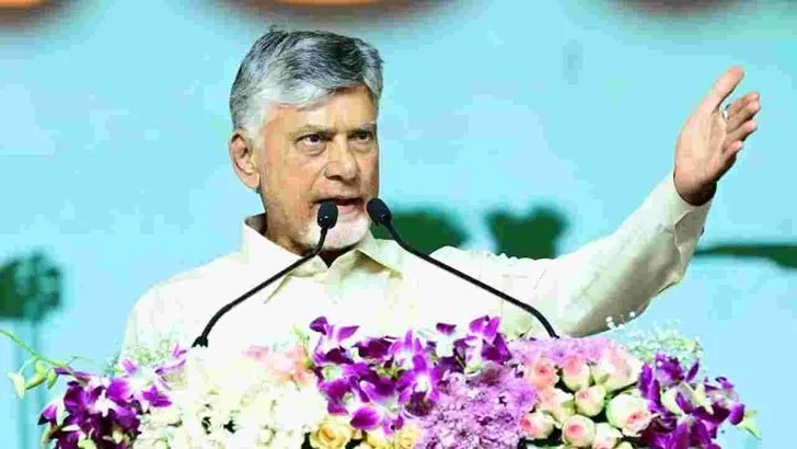 నెల్లూరు జిల్లాలో పల్లె పండుగ 3.0 ప్రారంభం.. హాజరైన సీఎం చంద్రబాబు, డిప్యూటీ సీఎం పవన్