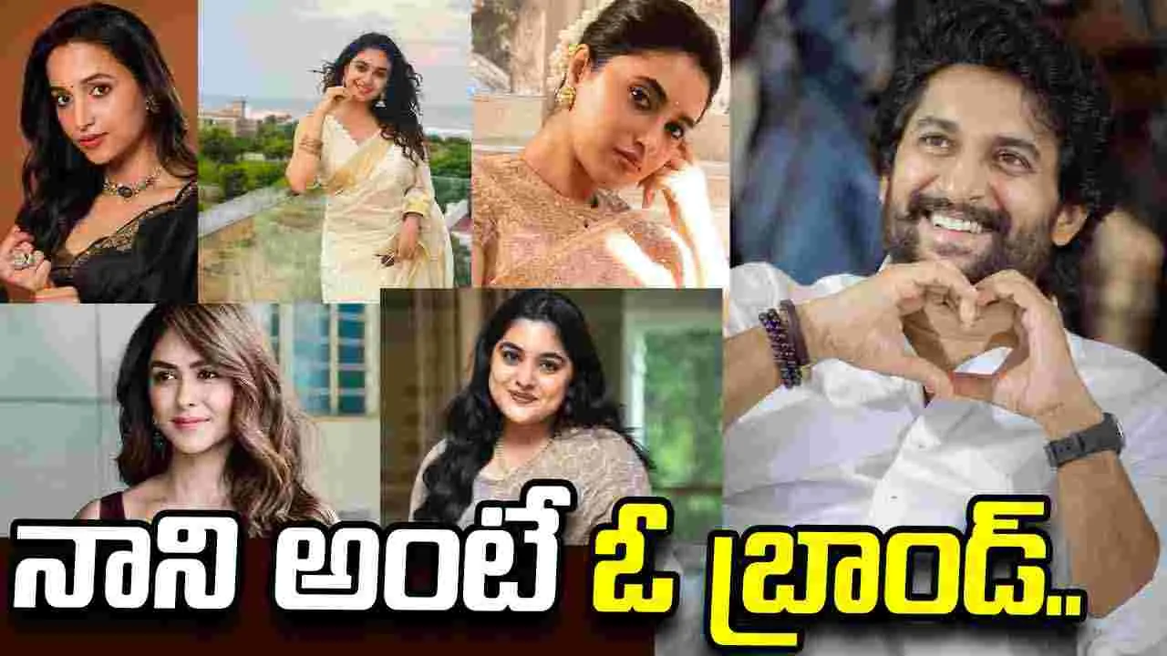 నాని అంటే ఓ బ్రాండ్‌..