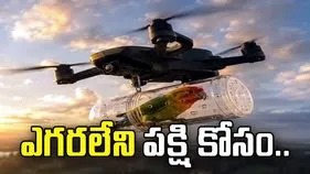 ఎగరలేని పక్షి కోసం...