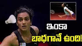 ఇంకా బాధగానే ఉంది.. ఆసియా గేమ్స్‌లో ఓటమిపై పీవీ సింధు పోస్ట్