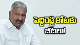పెద్దిరెడ్డి కోటకు బీటలు!