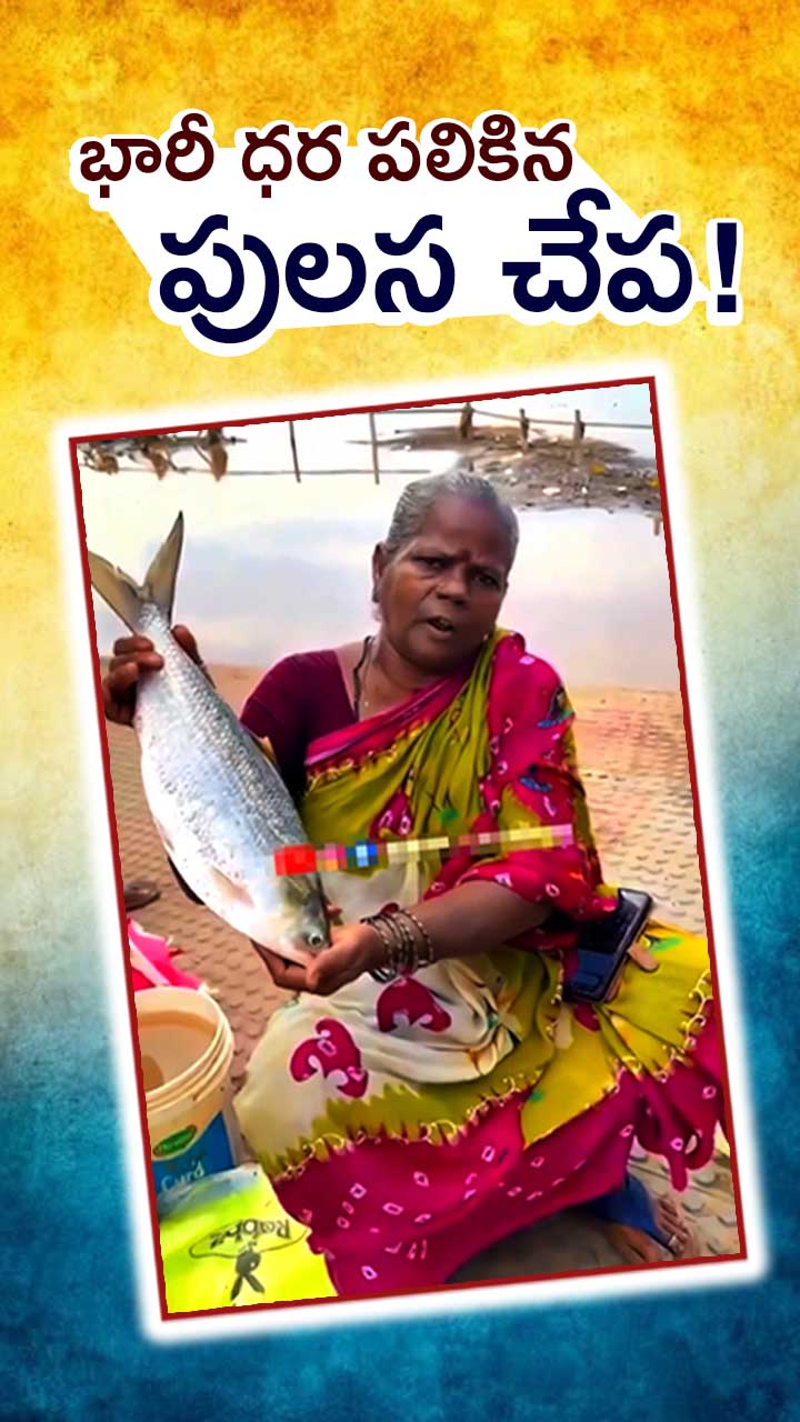 యానాం మార్కెట్లో రికార్డు ధర పలికిన మగ పులస!