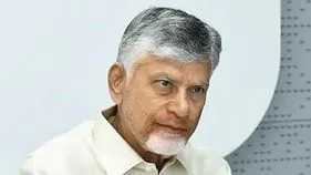 ప్రజల ఫిర్యాదులపై నిర్లక్ష్యం వద్దు.. అధికారులకు సీఎం చంద్రబాబు ఆదేశాలు