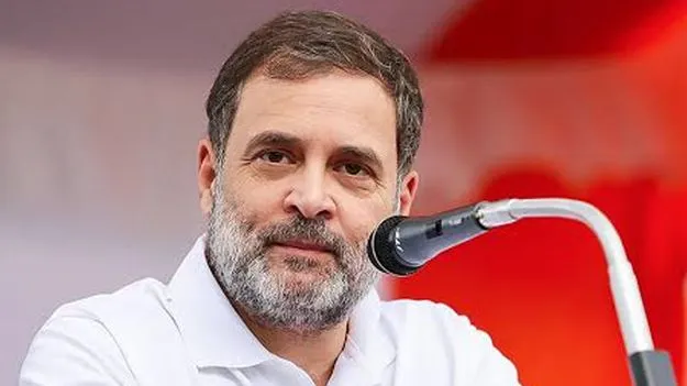సీఈసీ రాజ్యాంగ   ద్రోహానికి పాల్పడ్డారు