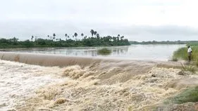 పంటలను కాపాడిన వాన