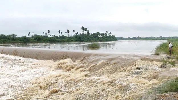 పంటలను కాపాడిన వాన