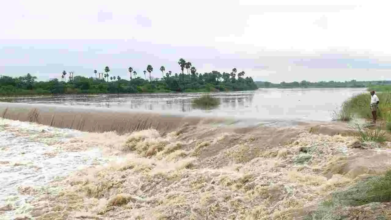 పంటలను కాపాడిన వాన