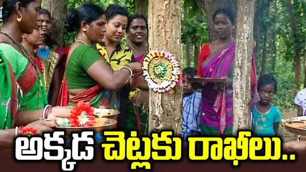 లక్ష చెట్లకు రాఖీలు.. ప్రకృతి పరిరక్షణకు జార్ఖండ్ ప్రజల కంకణం!