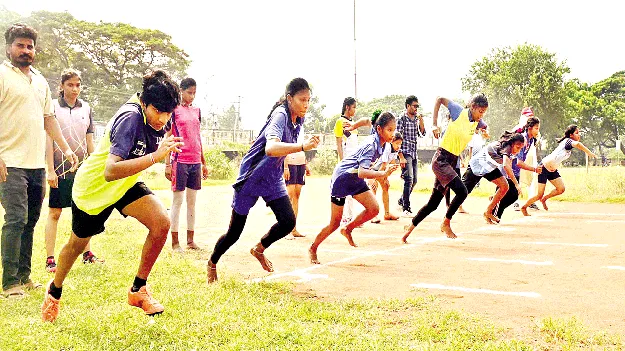 సందడే..సందడి