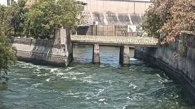 సాగర్‌ కాల్వల్లో నిండుగా ప్రవాహం
