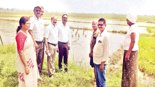  ముంపు పొలాల పరిశీలన  