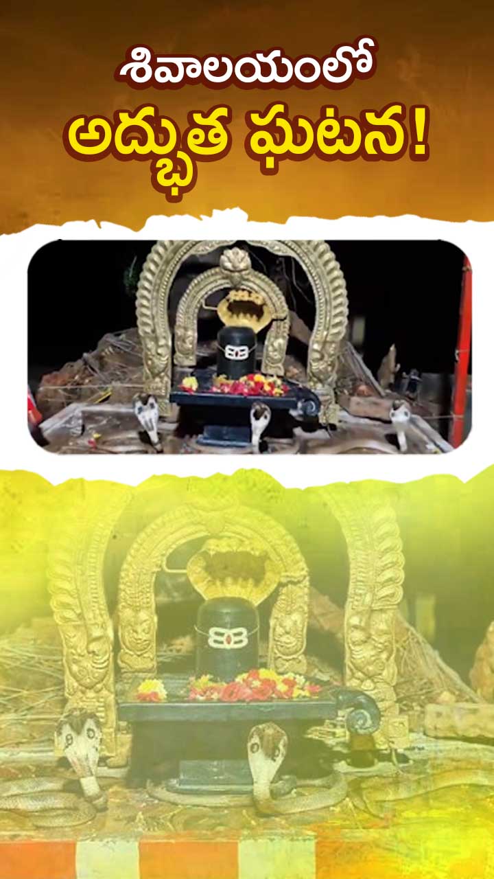ABN Andhrajyothy Telugu Short News Video - Quick News Updates in 60 Seconds