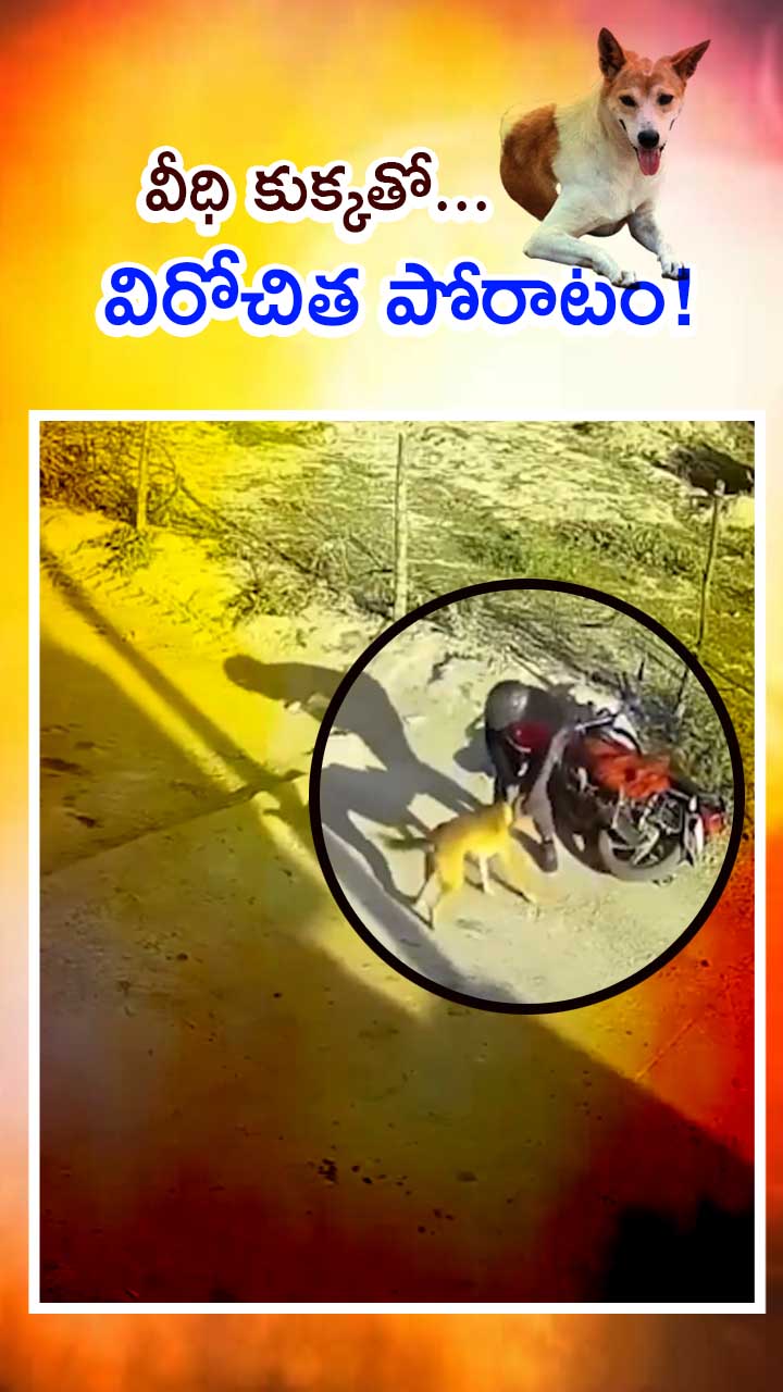 ABN Andhrajyothy Telugu Short News Video - Quick News Updates in 60 Seconds