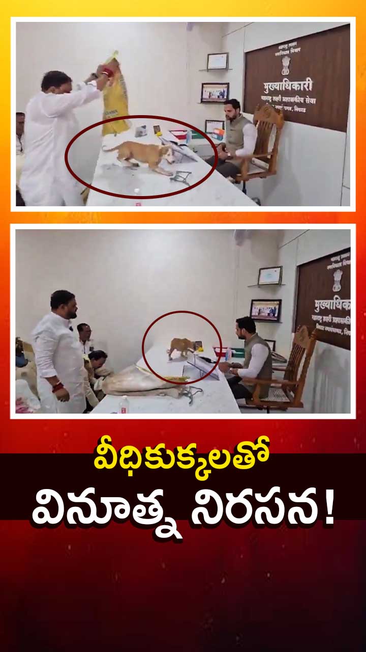 వీధికుక్కల సమస్యపై వినూత్న నిరసన!
