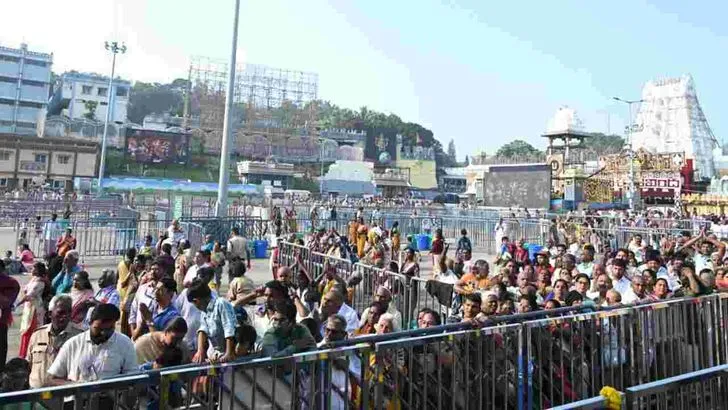 తిరుమలలో వైభవంగా శ్రీవారి చిన్నశేష వాహన సేవ