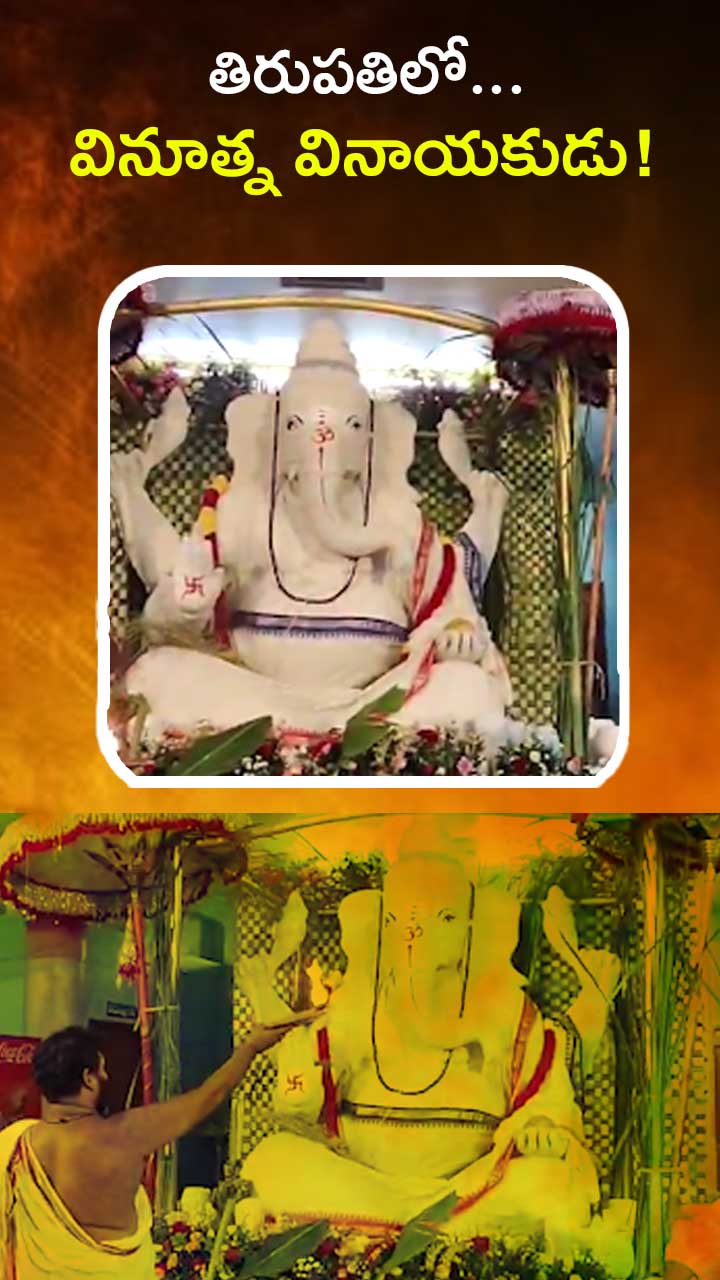 7 టన్నుల విభూదితో వినాయకుడు!