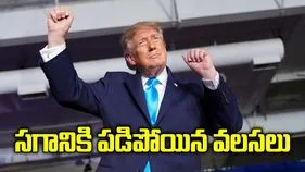 ట్రంప్ ఎఫెక్ట్.. అమెరికాలో సగానికి పడిపోయిన వలసలు