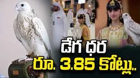 మేనకోడలి కోసం రూ.3.85 కోట్లు పెట్టి డేగను కొన్న అరబ్ వ్యక్తి