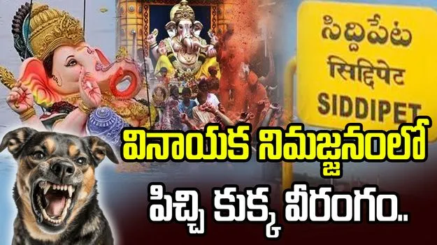 సిద్దిపేట జిల్లాలో పిచ్చి కుక్క వీరంగం.. 13 మందికి తీవ్ర గాయాలు..