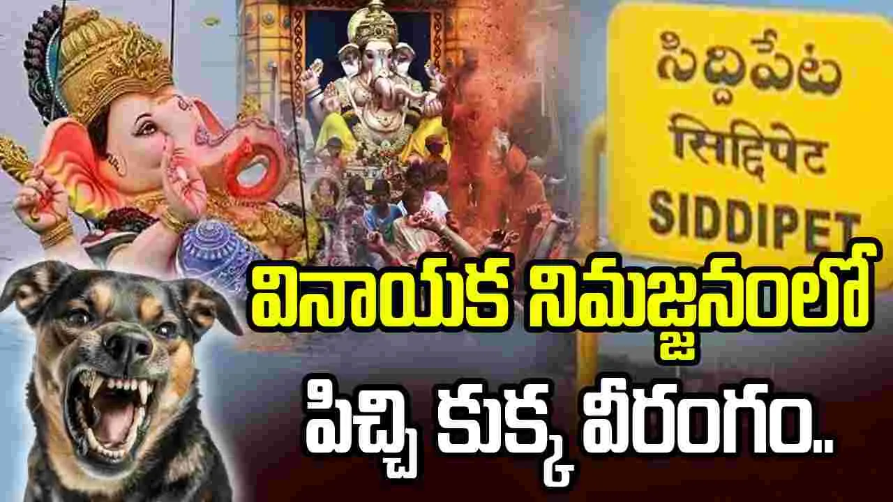 సిద్దిపేట జిల్లా పొన్నాలలో పిచ్చి కుక్క వీరంగం.. 13 మందికి తీవ్ర గాయాలు..