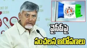 స్థానిక ఎన్నికలను ఆపేందుకు 59 పిటిషన్లు.. వైసీపీపై సీఎం చంద్రబాబు ఆగ్రహం