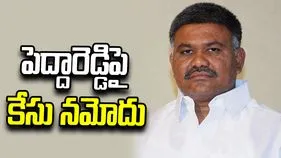 వైసీపీ నేత కేతిరెడ్డి పెద్దారెడ్డిపై కేసు నమోదు
