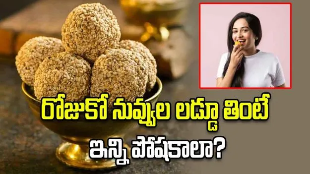  రోజుకో నువ్వుల లడ్డూ తింటే ఇన్ని పోషకాలా?
