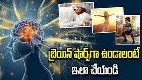 మెదడు చురుగ్గా ఉండాలంటే ఈ 10 అలవాట్లు పాటించండి.!