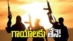 గాయాలు మానేందుకు తేనె.. లష్కరే ఉగ్రవాదుల చికిత్స