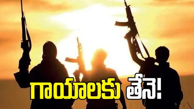 గాయాలు మానేందుకు తేనె.. లష్కరే ఉగ్రవాదుల చికిత్స