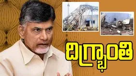 శ్రీసిటీలో ప్రమాదంపై సీఎం చంద్రబాబు దిగ్భ్రాంతి
